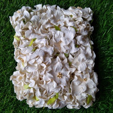 Mulberry Flower