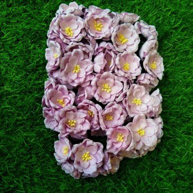 Mulberry Flower
