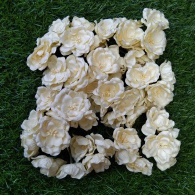 Mulberry Flower