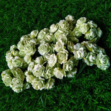 Mulberry Flower