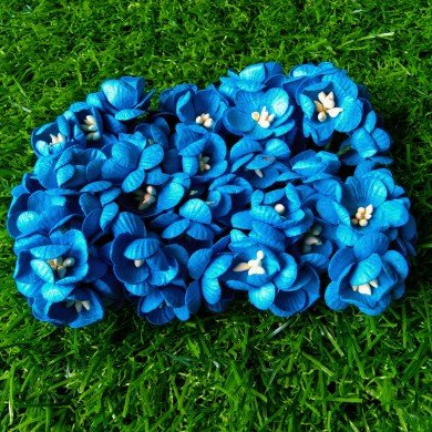 Mulberry Flower