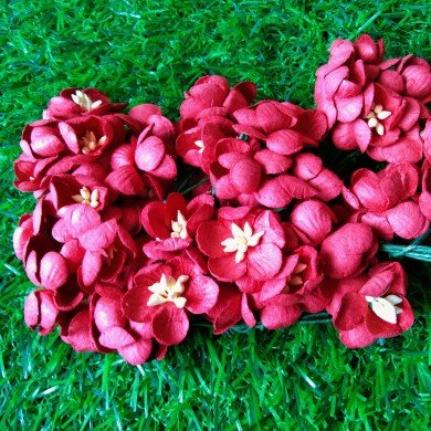 Mulberry Flower