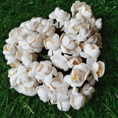Mulberry Flower