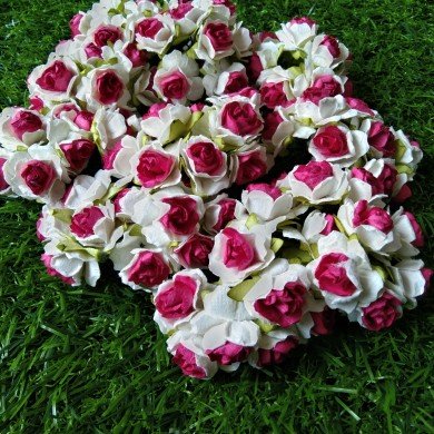 Mulberry Flower