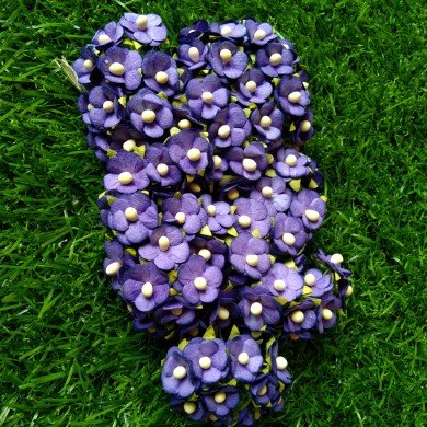 Mulberry Flower