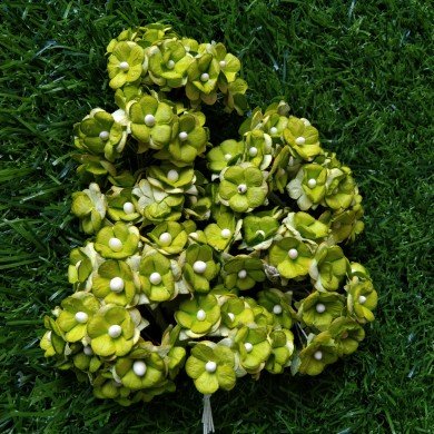 Mulberry Flower