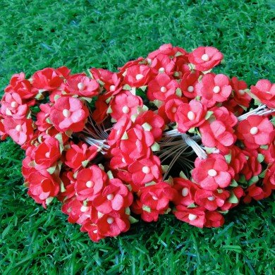 Mulberry Flower