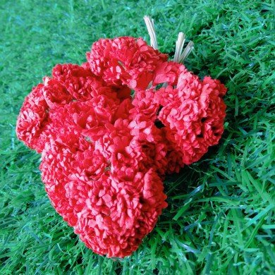 Mulberry Flower