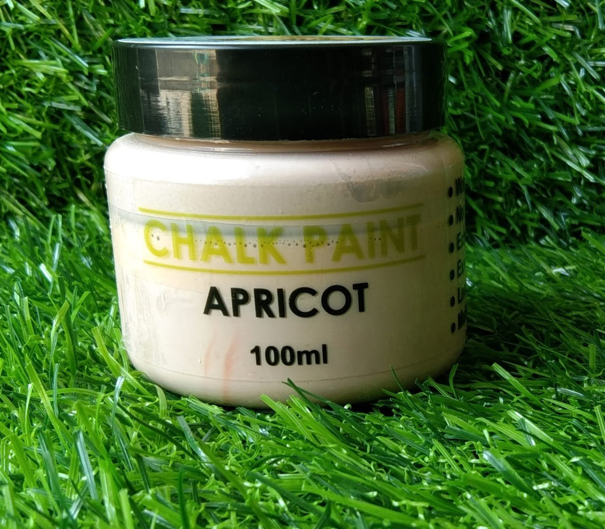 Chalk Paint - 100 ml - Apricot