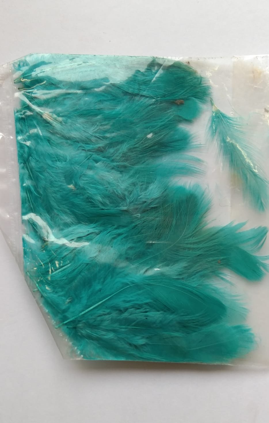 Soft Feathers - (Sea Grean)