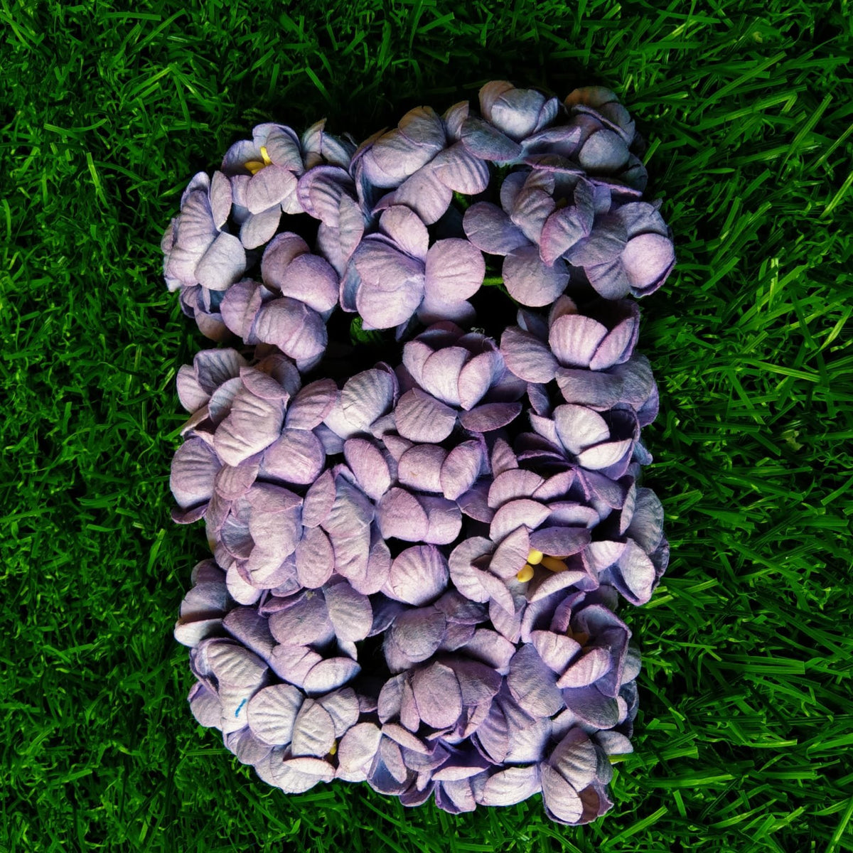 Mulberry Flower