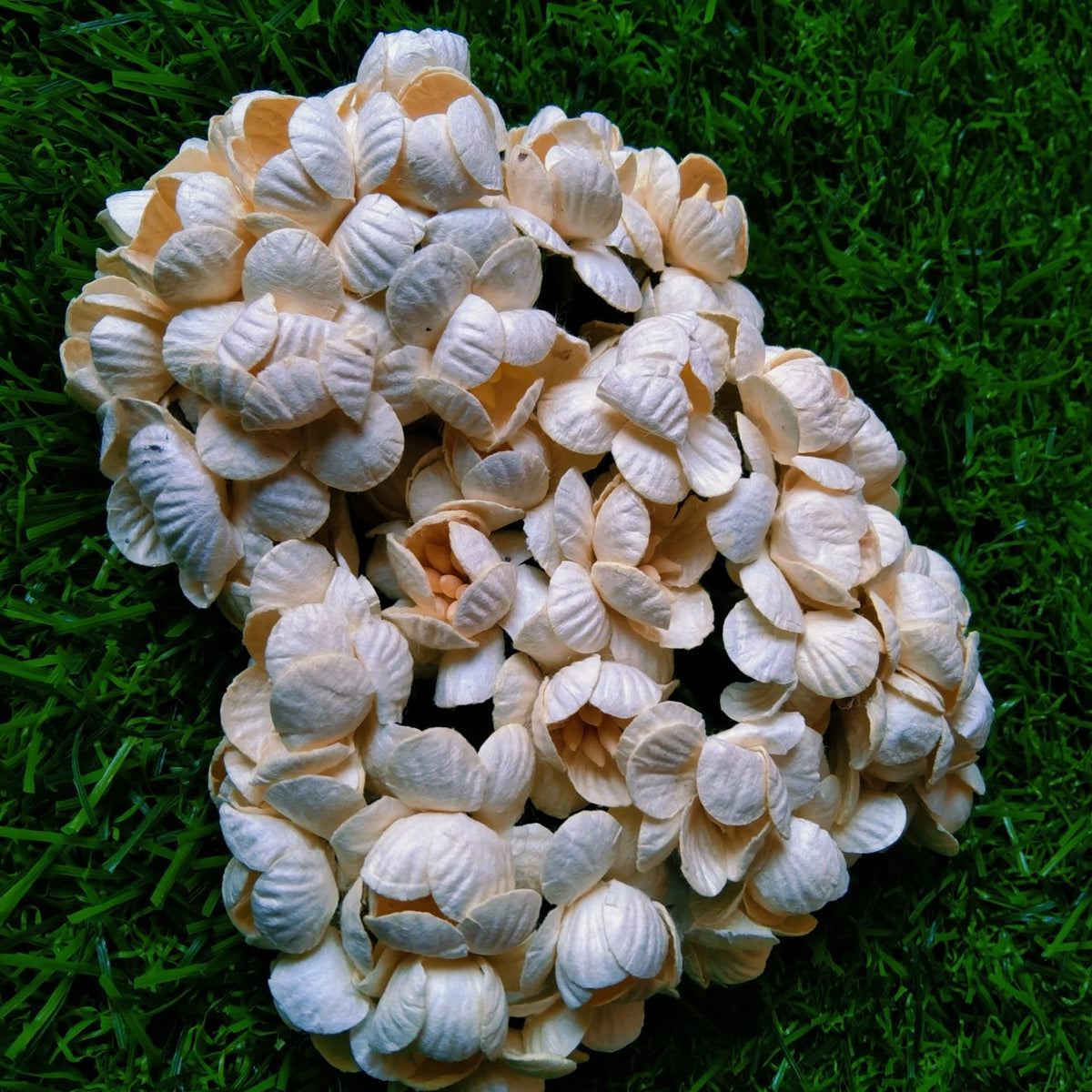 Mulberry Flower