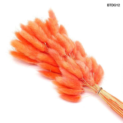 Bunny Tail