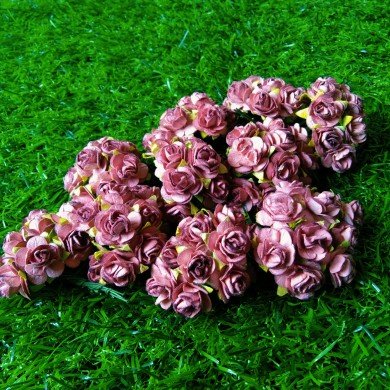 mulberry flower