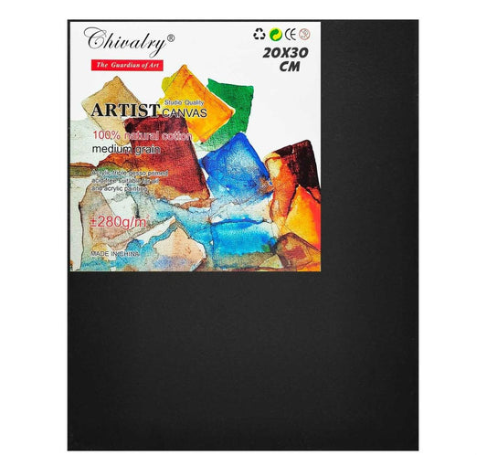Canvas Board - 20*30cms