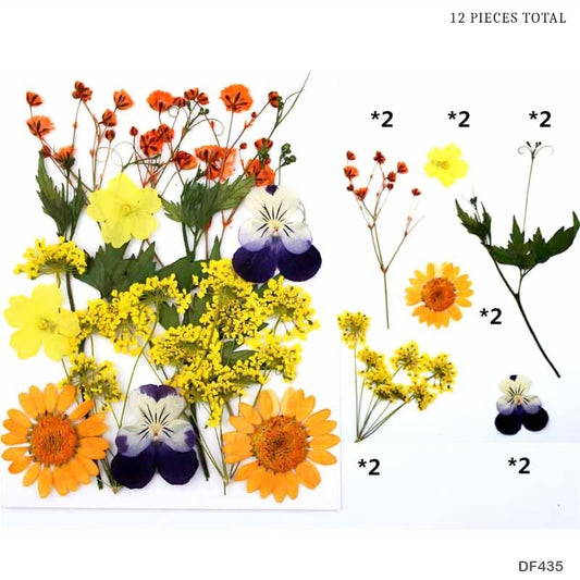 Dried Flower Sheet – (DF435)