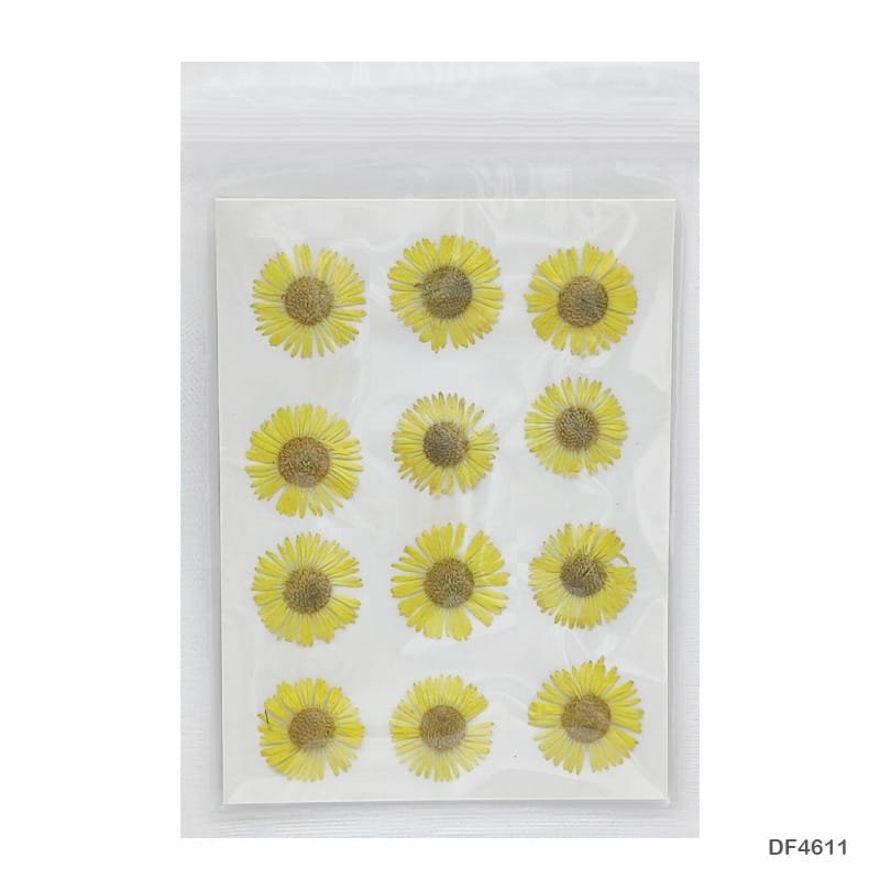 Dry Flower Sheet DF4611