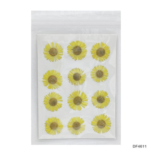 Dry Flower Sheet DF4611