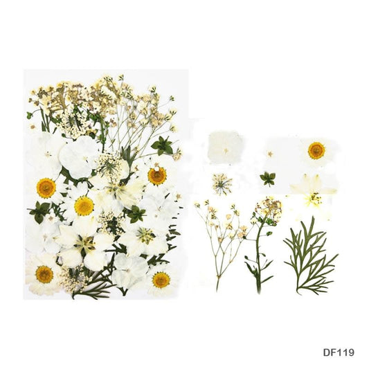 Dried Flower Sheet (DF119)