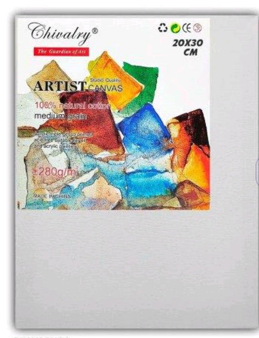 Canvas Board - 20*30cms