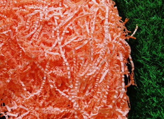 Paper Grass Shade - (Peach)