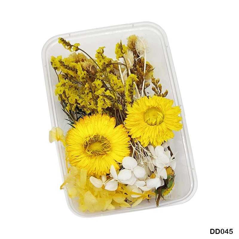 Dry Flower Box (DD045)