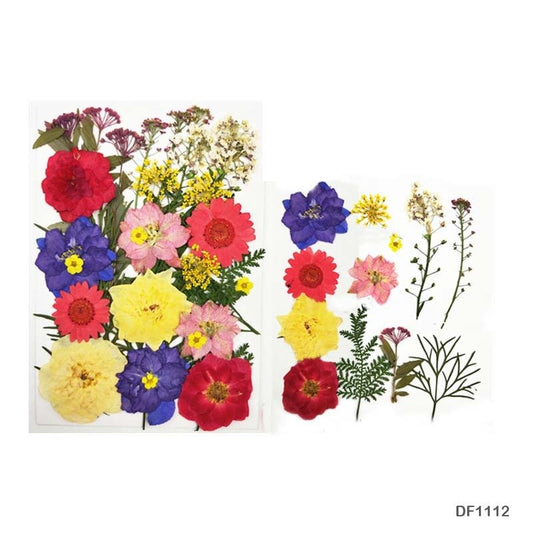Dry Flower Sheet DF1112
