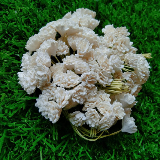 Mulberry Flower