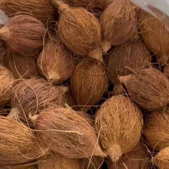 Artificial Mini Nariyal