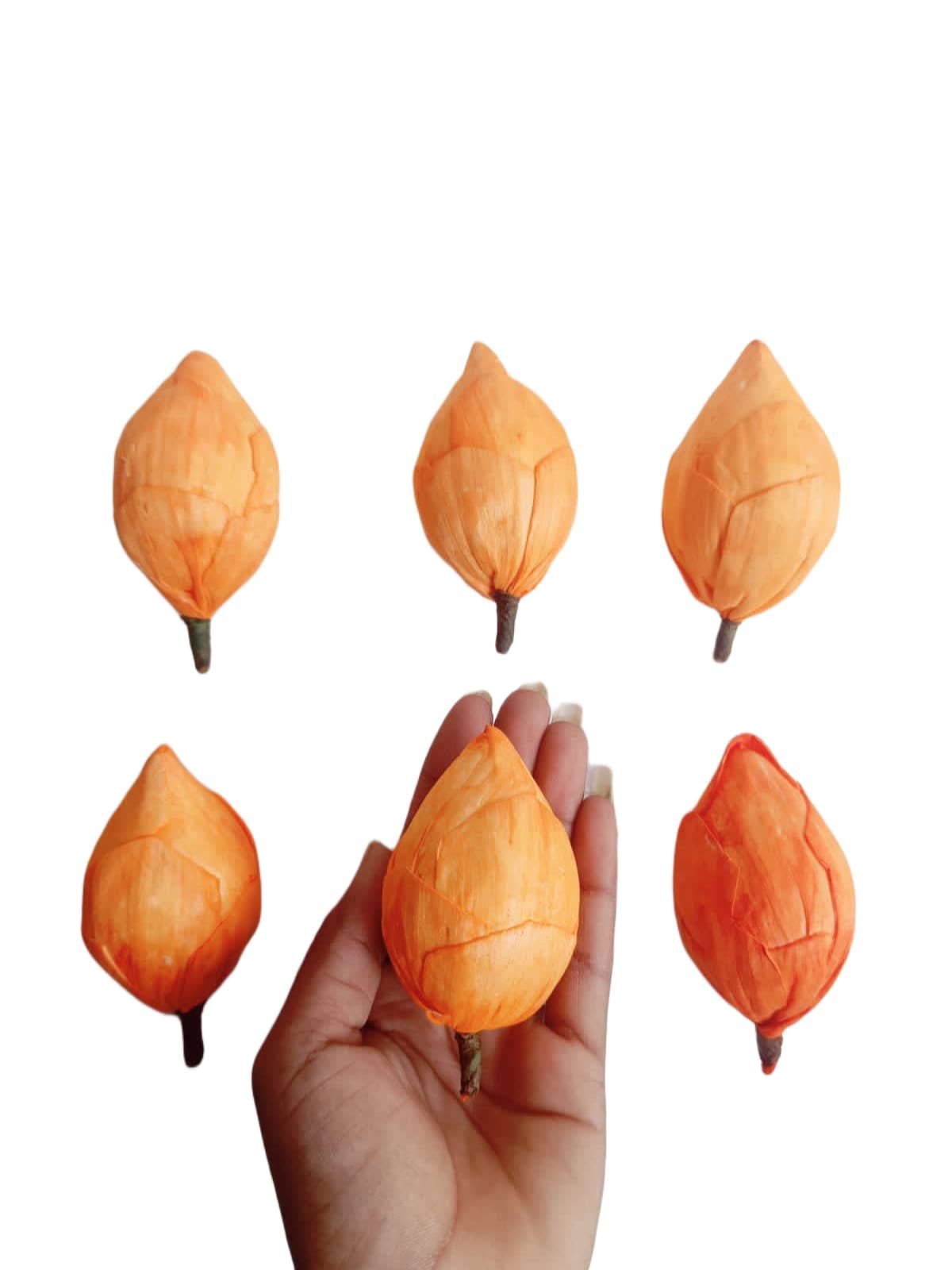 Lotus Buds (Orange) – 10pcs