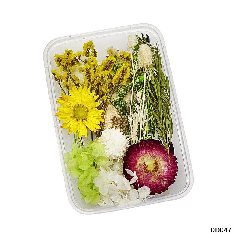 Dry Flower Box (DD047)