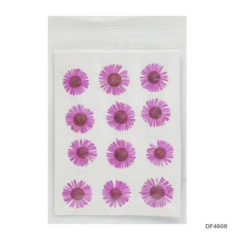 Dry Flower Sheet DF468