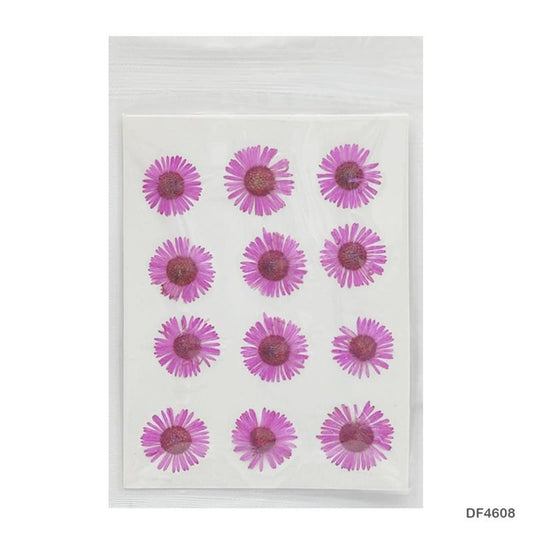 Dry Flower Sheet DF468