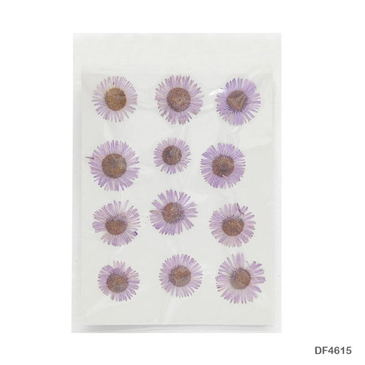 Dry Flower Sheet DF4615