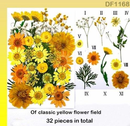 Dried Flower Sheet (DF1168)