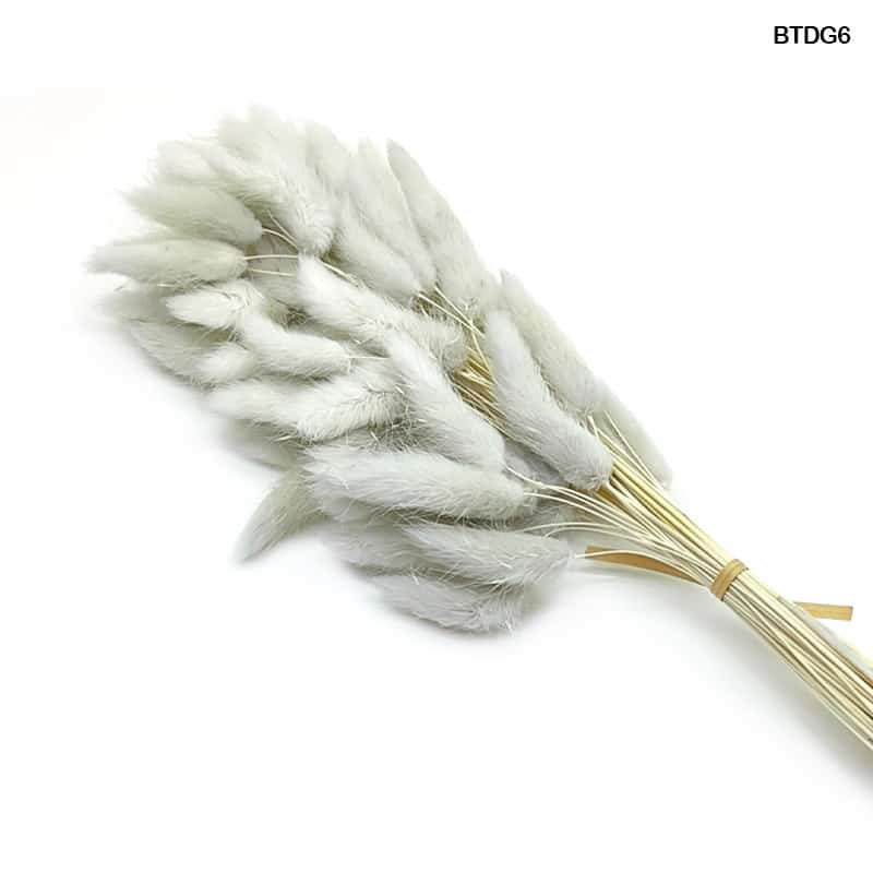 Bunny Tail - (BTDG6)