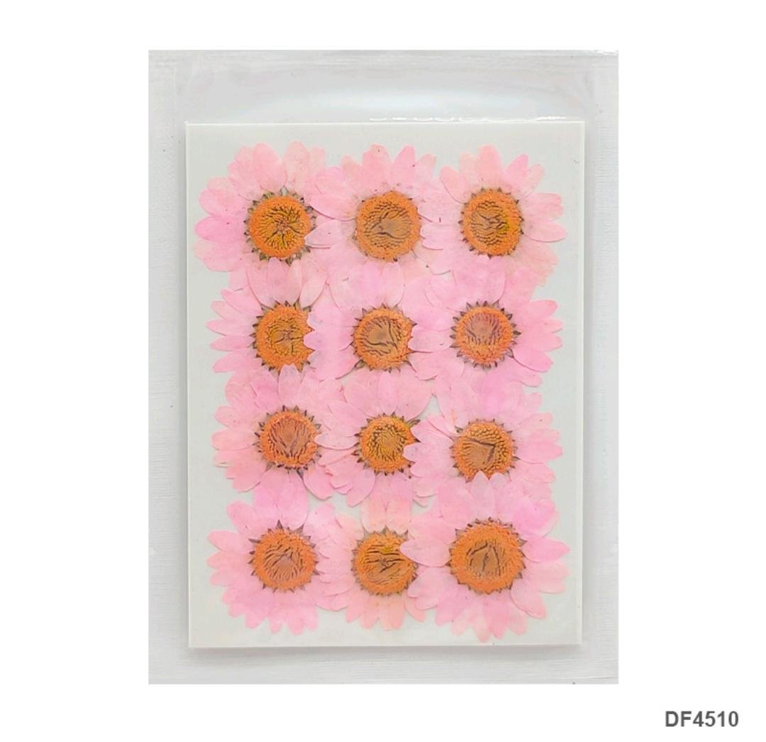 Dried Flower / Pressed Flower - DF4510