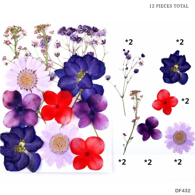 Dried Flower Sheet – (DF432)