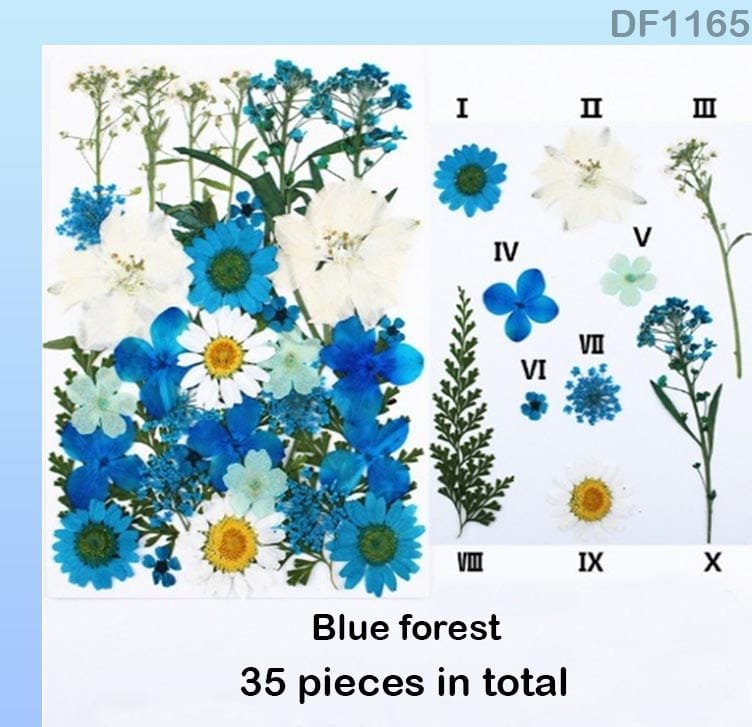 Dried Flower Sheet (DF1165)