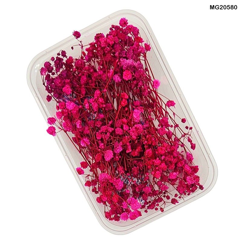 Dry Flower Box (MG20580)