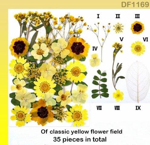 Dried Flower Sheet (DF1169)