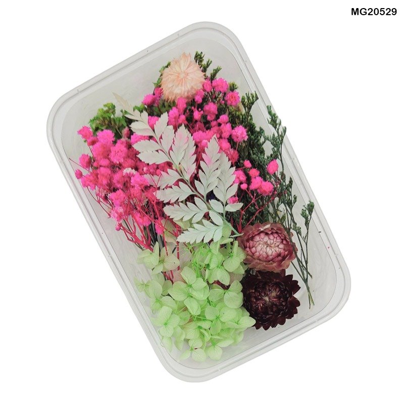 Dry Flower Box (MG20529)