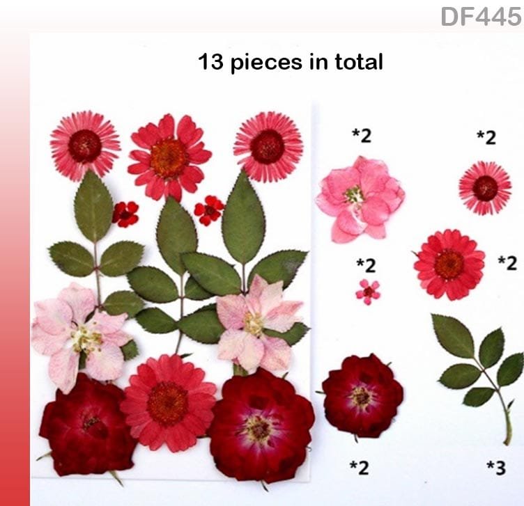 Dried Flower – DF445