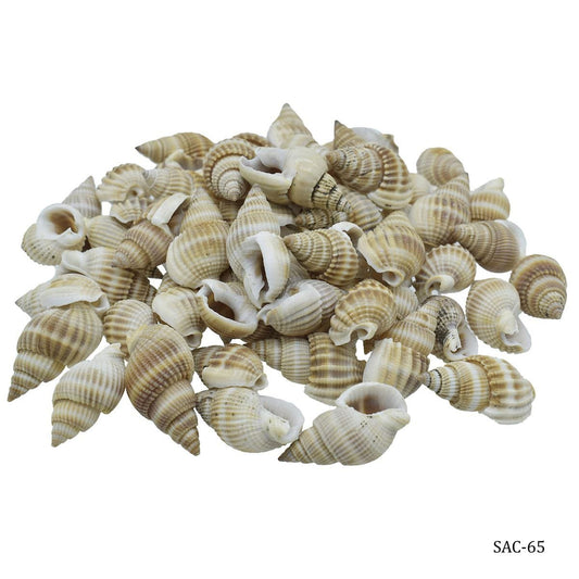 Shells Colour Vali Kopparta (SAC65) - 100gm