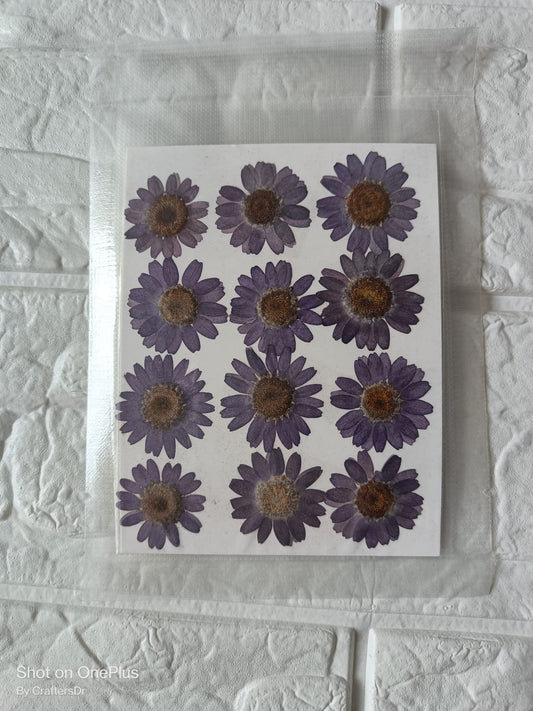 Dried Flower / Pressed Flower - RAWDFH
