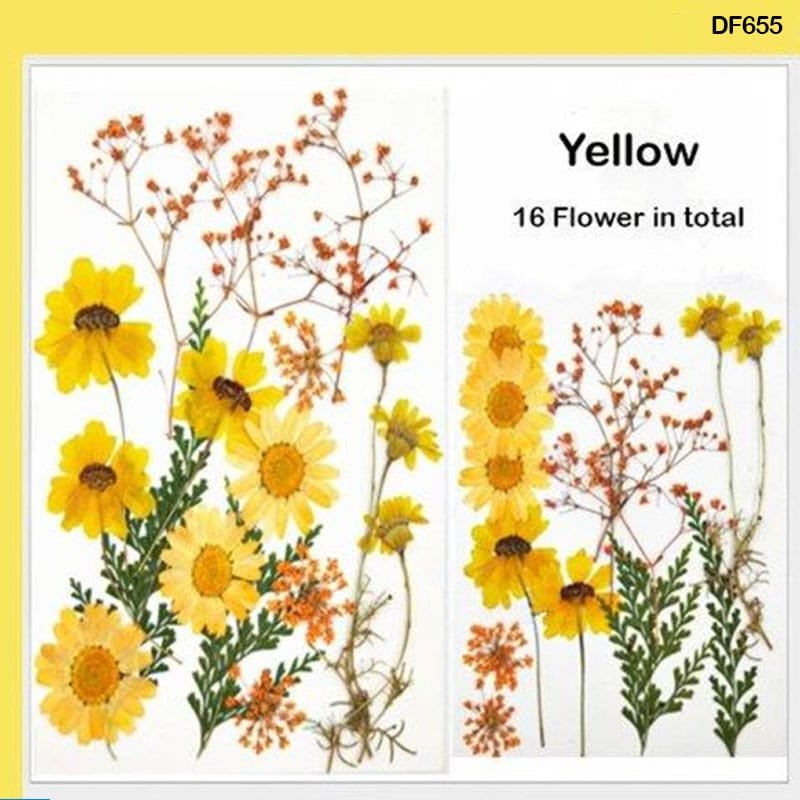 Dry Flower Sheet (DF655)
