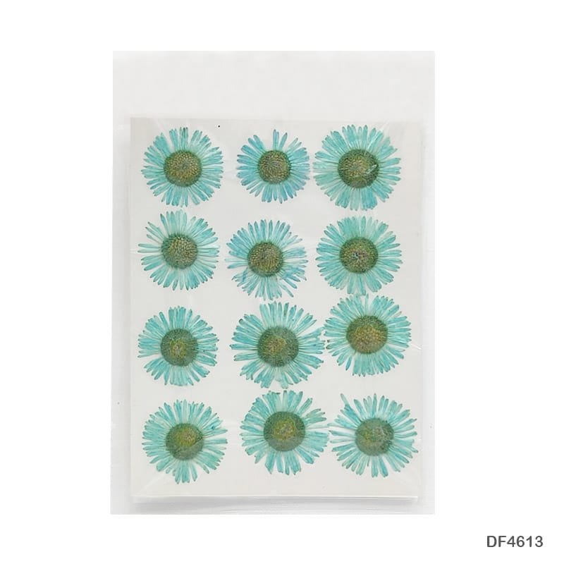 Dry Flower Sheet DF4613