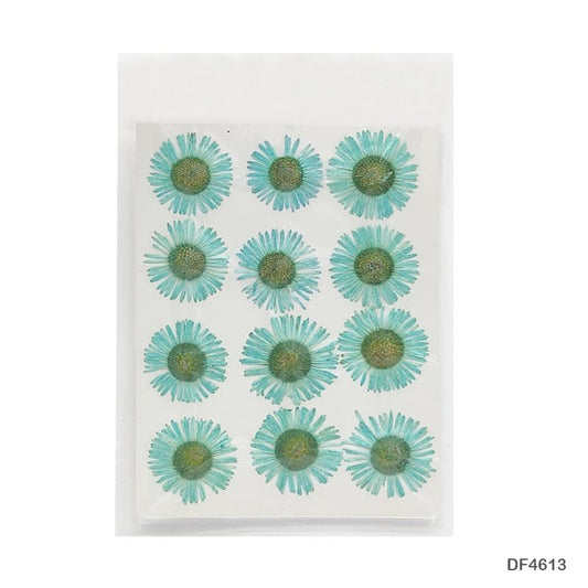 Dry Flower Sheet DF4613