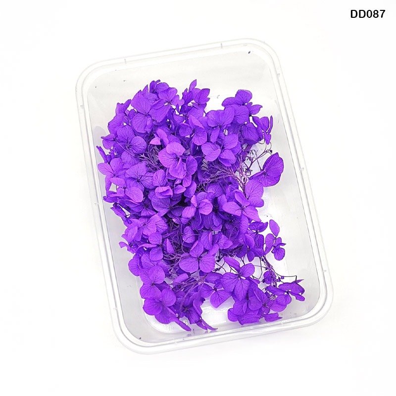 Dry Flower Box (DD087)