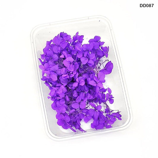 Dry Flower Box (DD087)